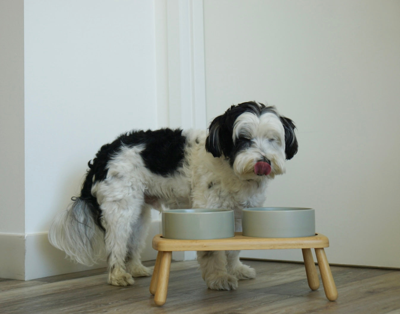 Elevated Double Dog Bowl for Medium & Large Dogs – Raised Bamboo Stand Feeder with Non-Slip Ceramic Bowls for Food and Water