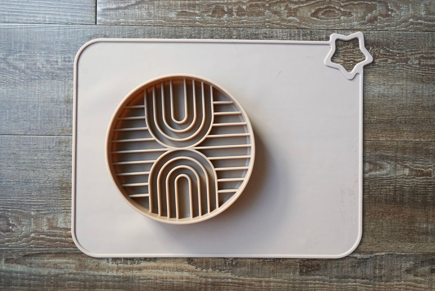 Silicone Slow Feeder Bowl (Rainbow) – Non-Slip | Dishwasher Safe