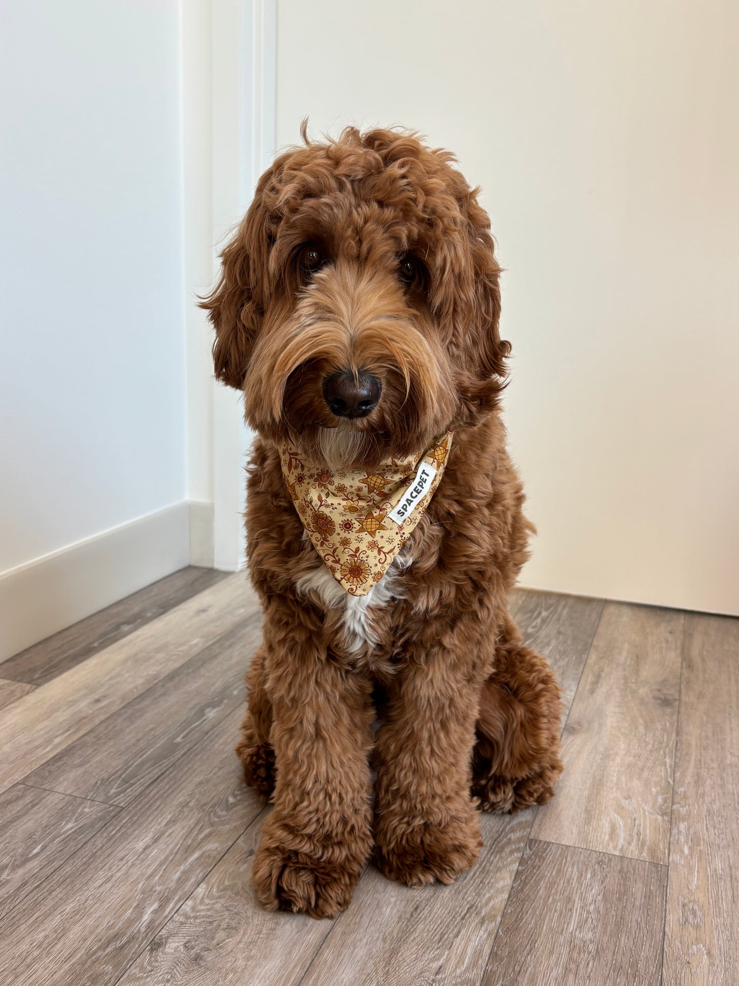 Handmade Cotton Dog Bandana – Yellow Sunflower Pet Neckwear