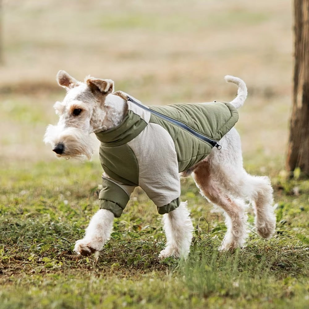 OrbitShield™ Waterproof Dog Jacket (Green) - Preorder