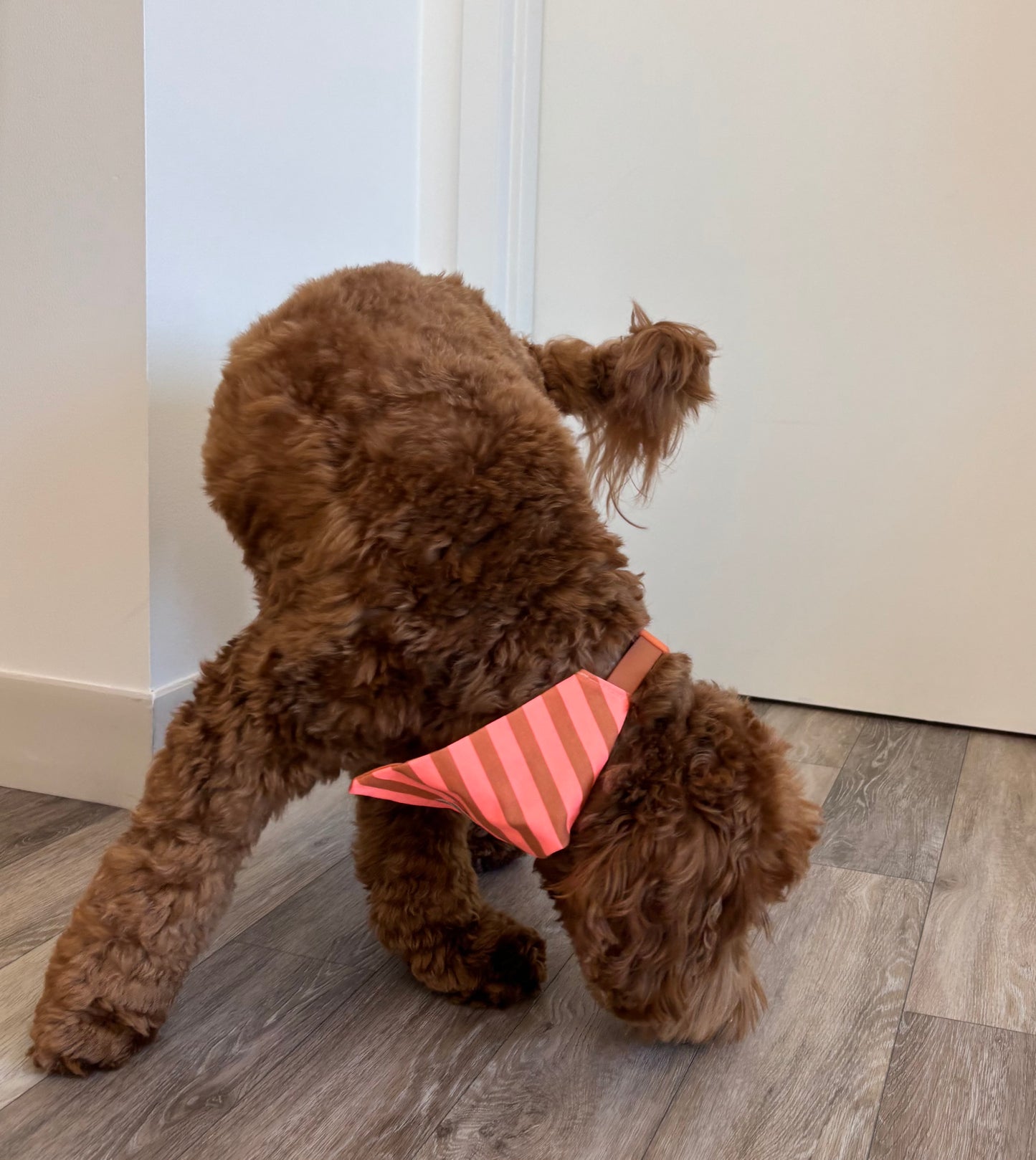 Handmade Cotton Dog Bandana – Orange Striped Pet Neckwear