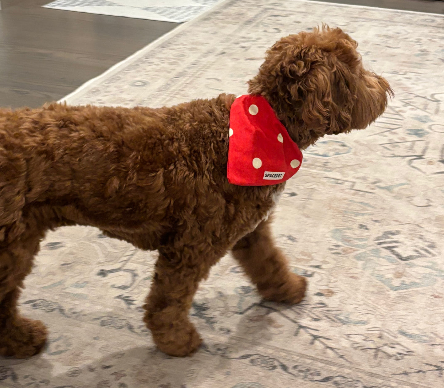 Handmade Cotton Dog Bandana – Christmas Red Dot Pet Neckwear