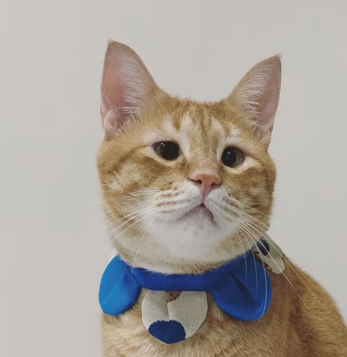 Flower Petal Bandana for Cats and Dogs (Blue Hedgehog)– Adjustable Floral Pet Collar Accessory