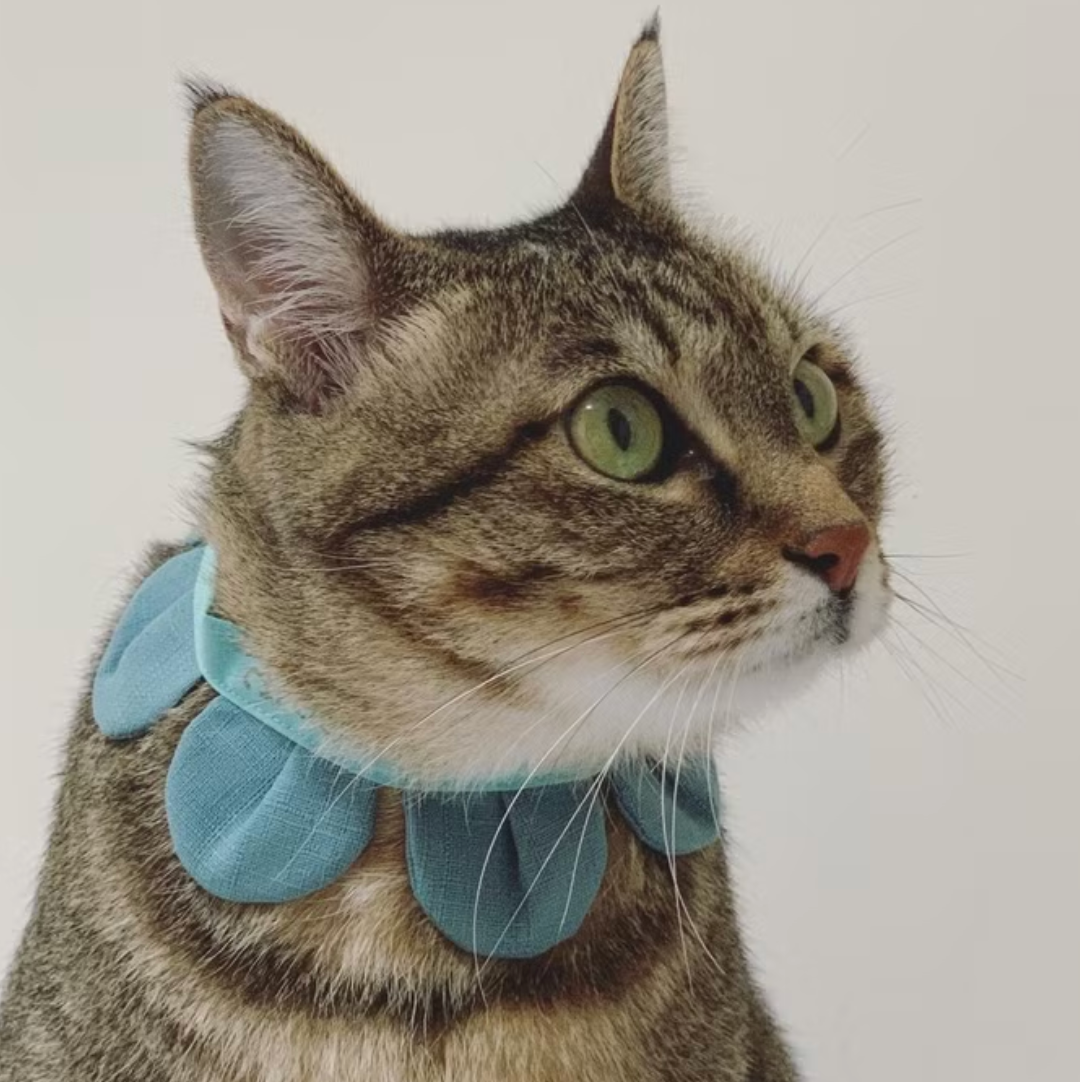 Flower Petal Bandana for Cats and Dogs (Blue)– Adjustable Floral Pet Collar Accessory