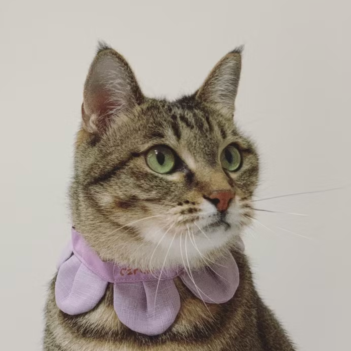 Flower Petal Bandana for Cats and Dogs (Purple)– Adjustable Floral Pet Collar Accessory