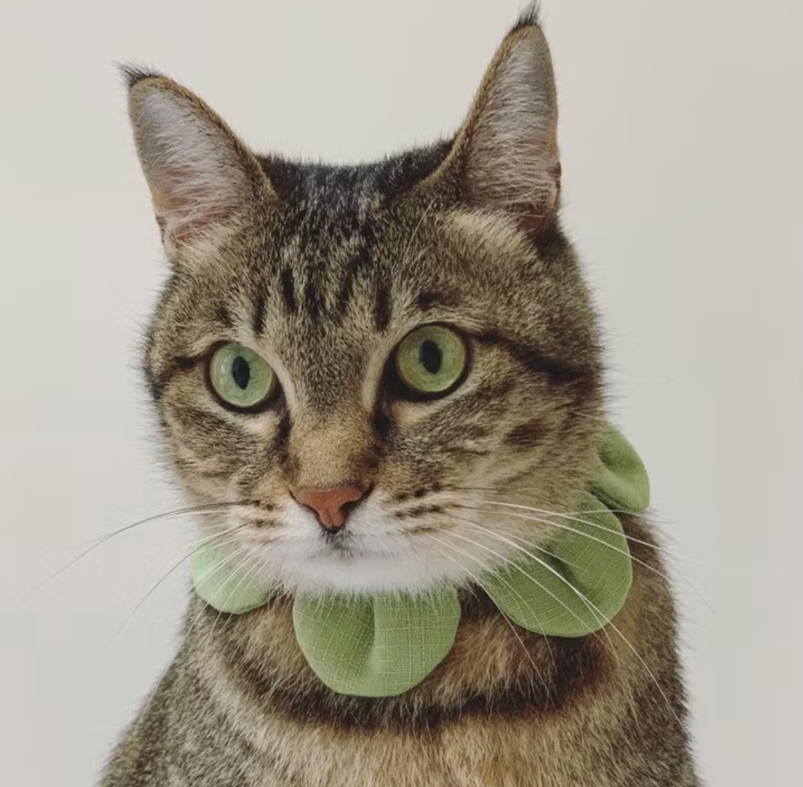 Flower Petal Bandana for Cats and Dogs (Green)– Adjustable Floral Pet Collar Accessory