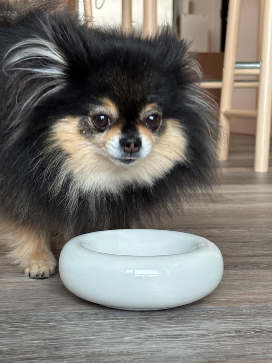 Modern Ceramic Donut Shape Pet Bowl – Elevated Design for Cats & Small Dogs