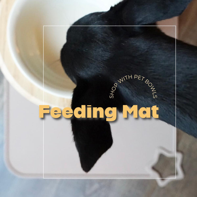 Feeding Mat