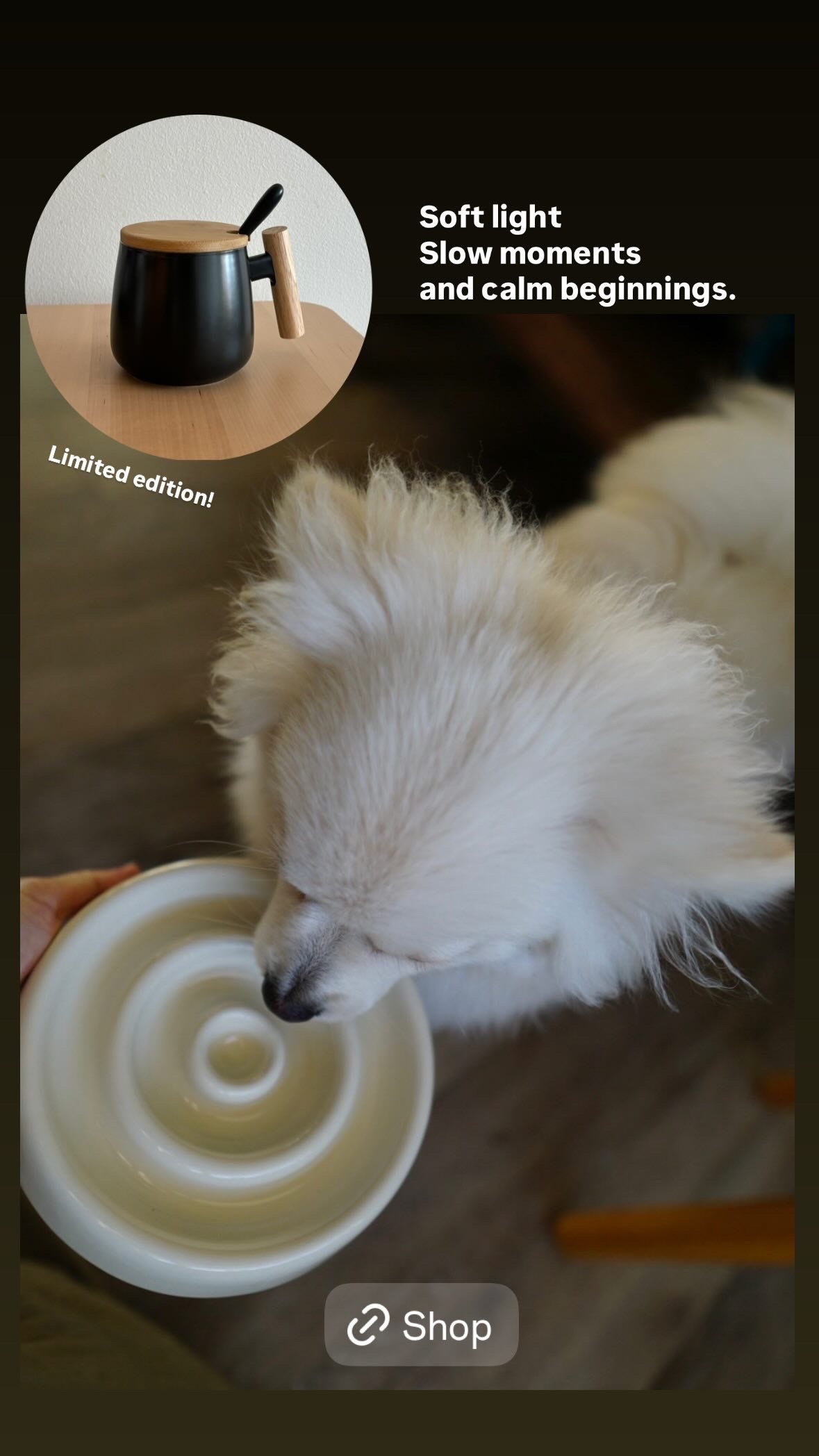 Nordic Ceramic Coffee Mug with Wood Lid & Spoon (Black) 14oz