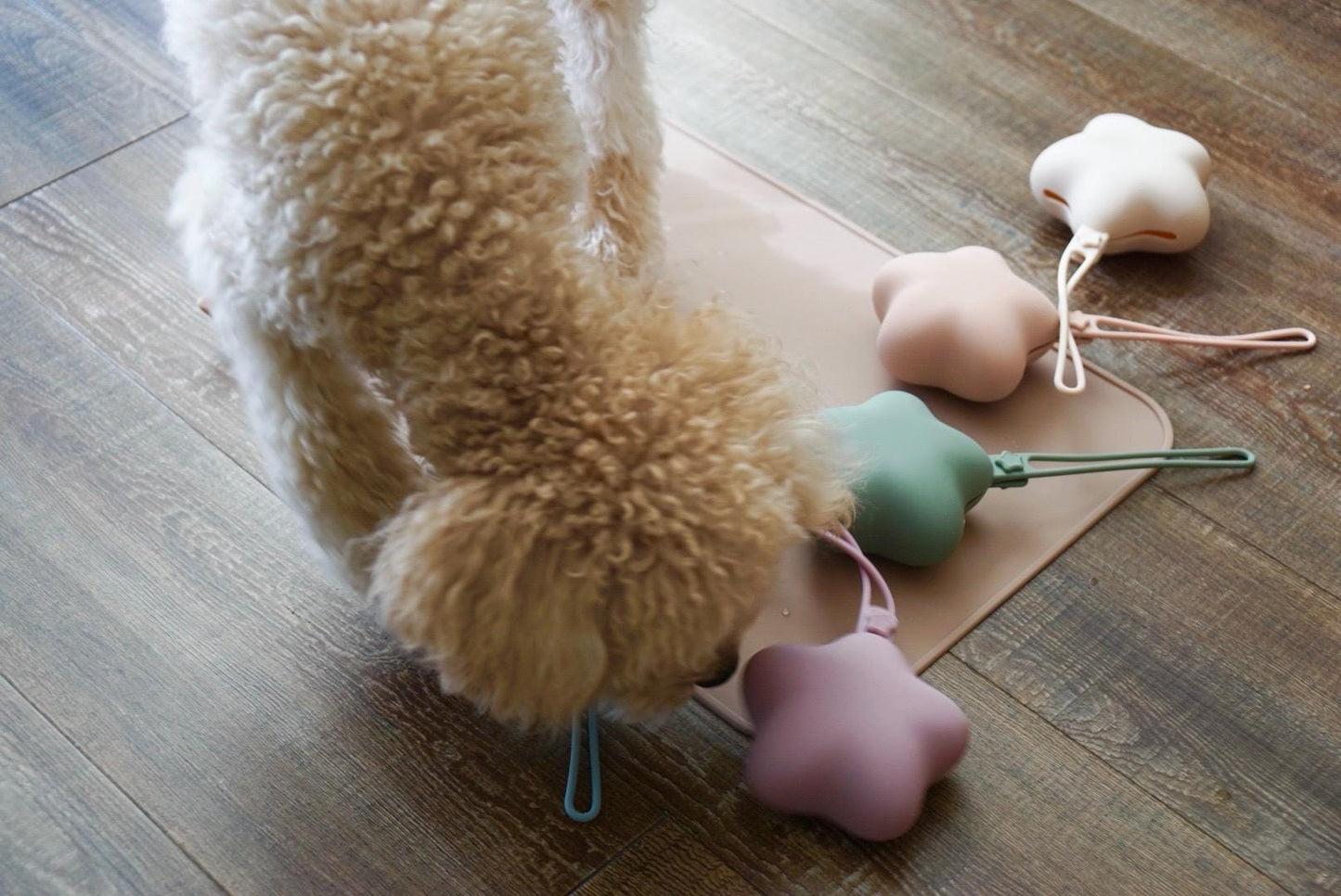 Comet Star Loop-Attach Treat Bag | Treat Holder & Snack Pouch – Stylish Pet Accessory for On-the-Go/ Training Portable Bag