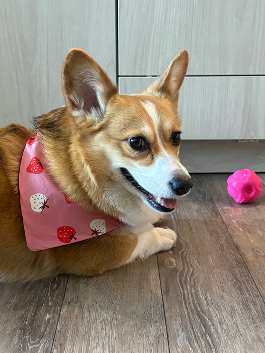 Strawberry Bandana for Cats and Dogs – Adjustable Pet Collar Accessory