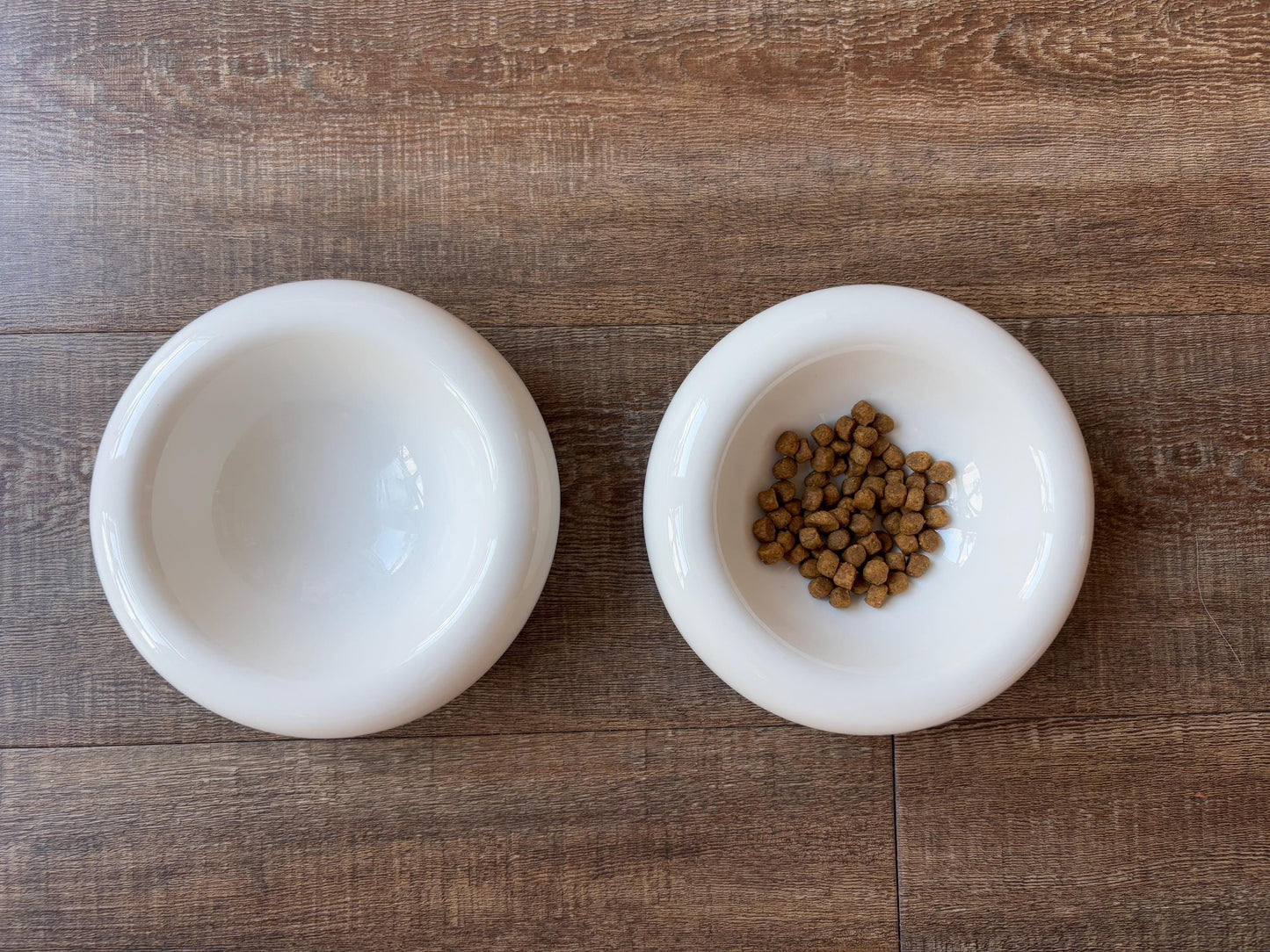 Modern Ceramic Donut Shape Pet Bowl – Elevated Design for Cats & Small Dogs