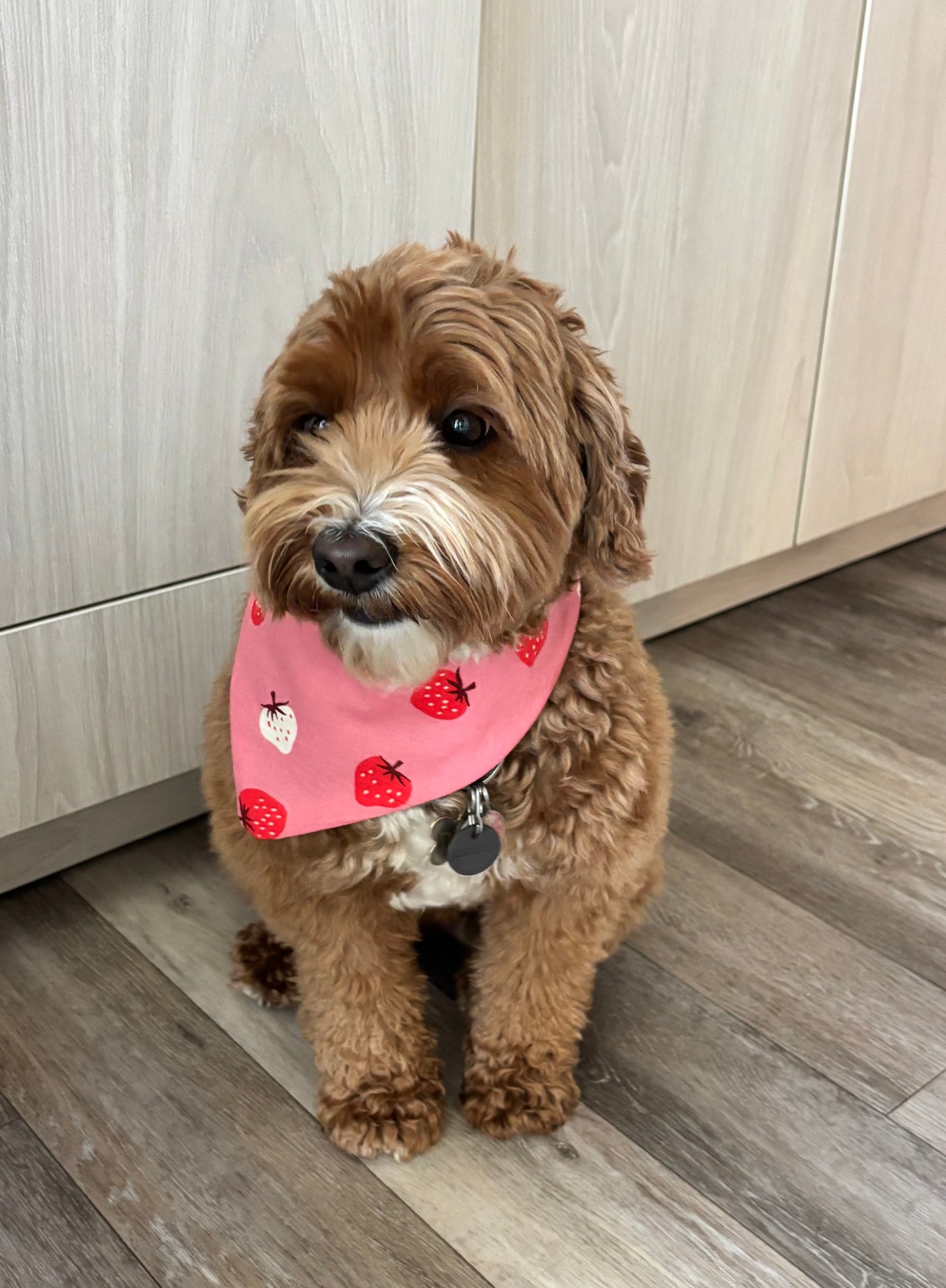 Strawberry Bandana for Cats and Dogs – Adjustable Pet Collar Accessory