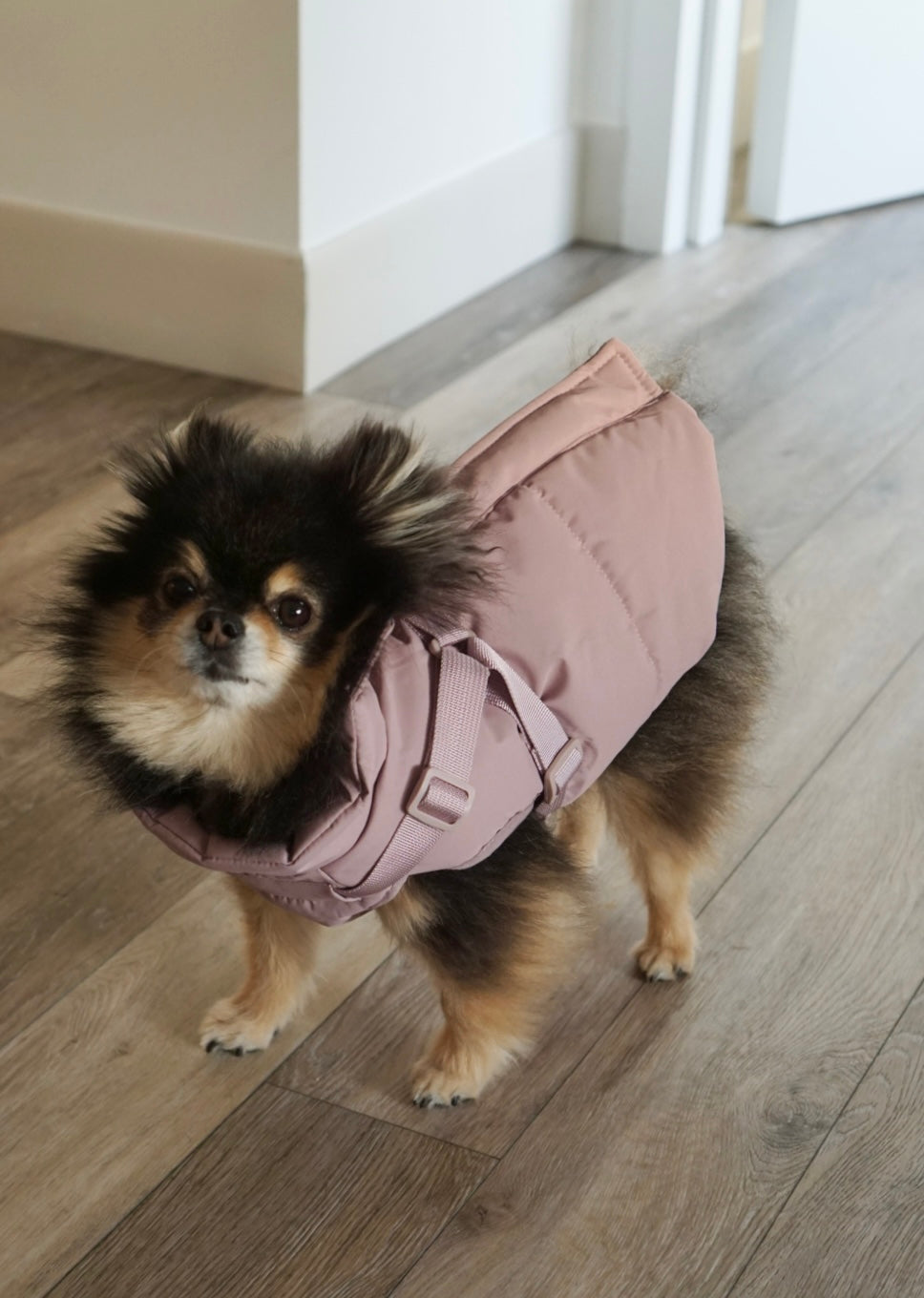 Waterproof Puff Dog Jacket with Built-in Harness – Winter Warm Padded Pet Coat, Windproof Adjustable Puppy Outerwear (Pink)