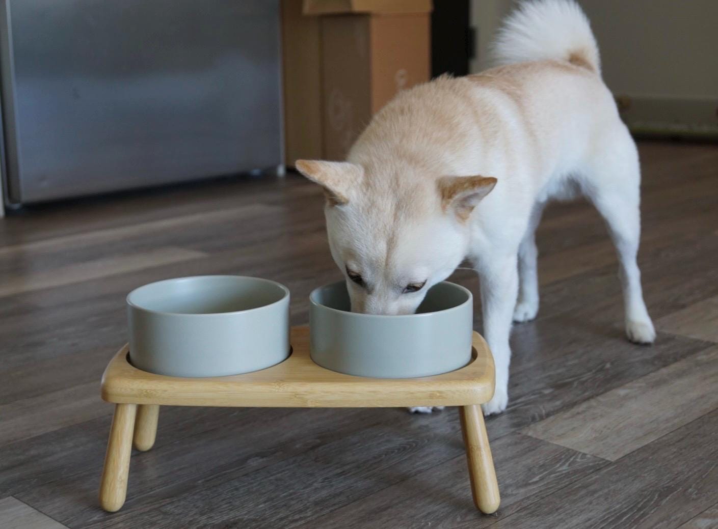 Elevated Double Dog Bowl for Medium & Large Dogs – Raised Bamboo Stand Feeder with Non-Slip Ceramic Bowls for Food and Water