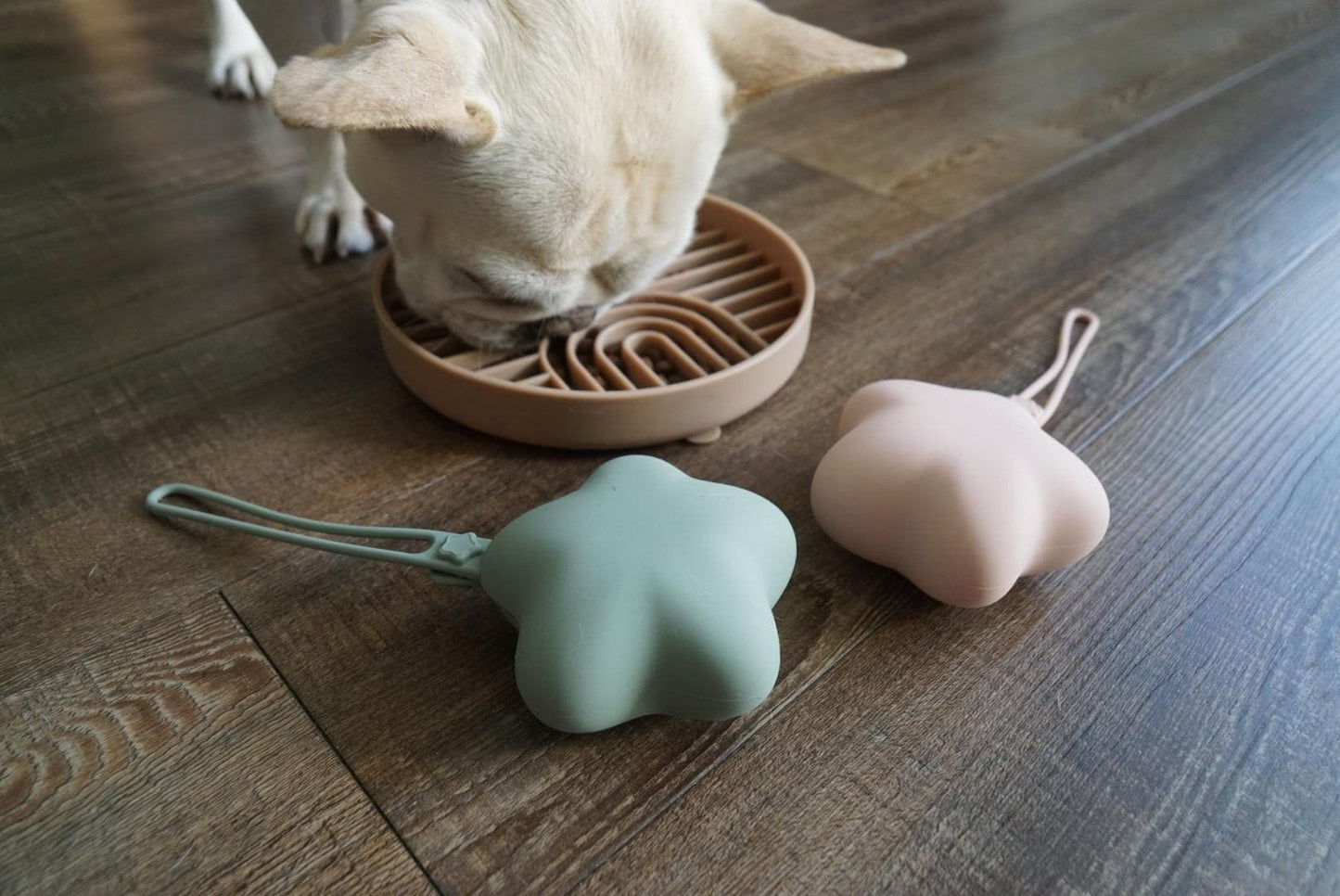 Comet Star Loop-Attach Treat Bag | Treat Holder & Snack Pouch – Stylish Pet Accessory for On-the-Go/ Training Portable Bag