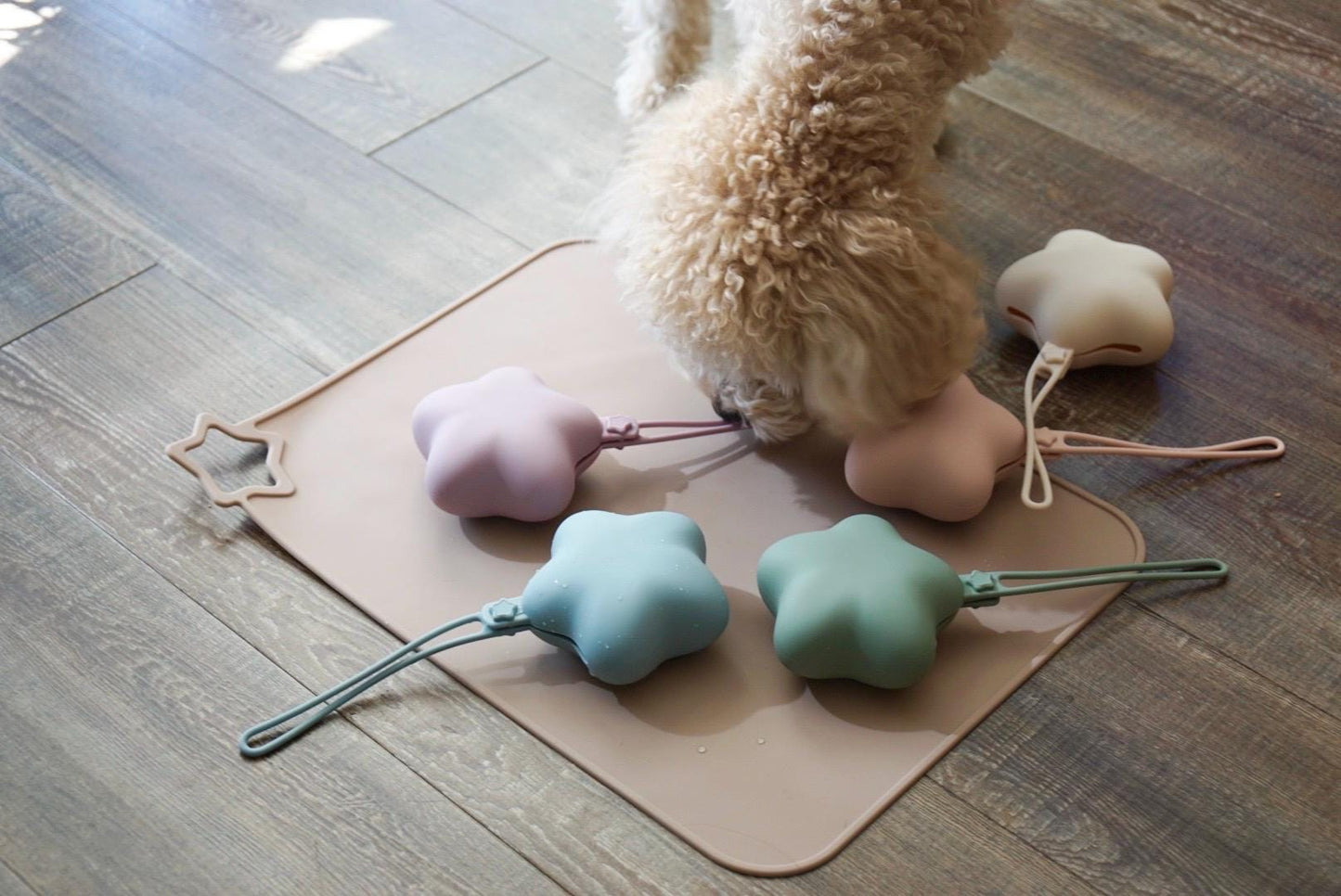 Comet Star Loop-Attach Treat Bag | Treat Holder & Snack Pouch – Stylish Pet Accessory for On-the-Go/ Training Portable Bag