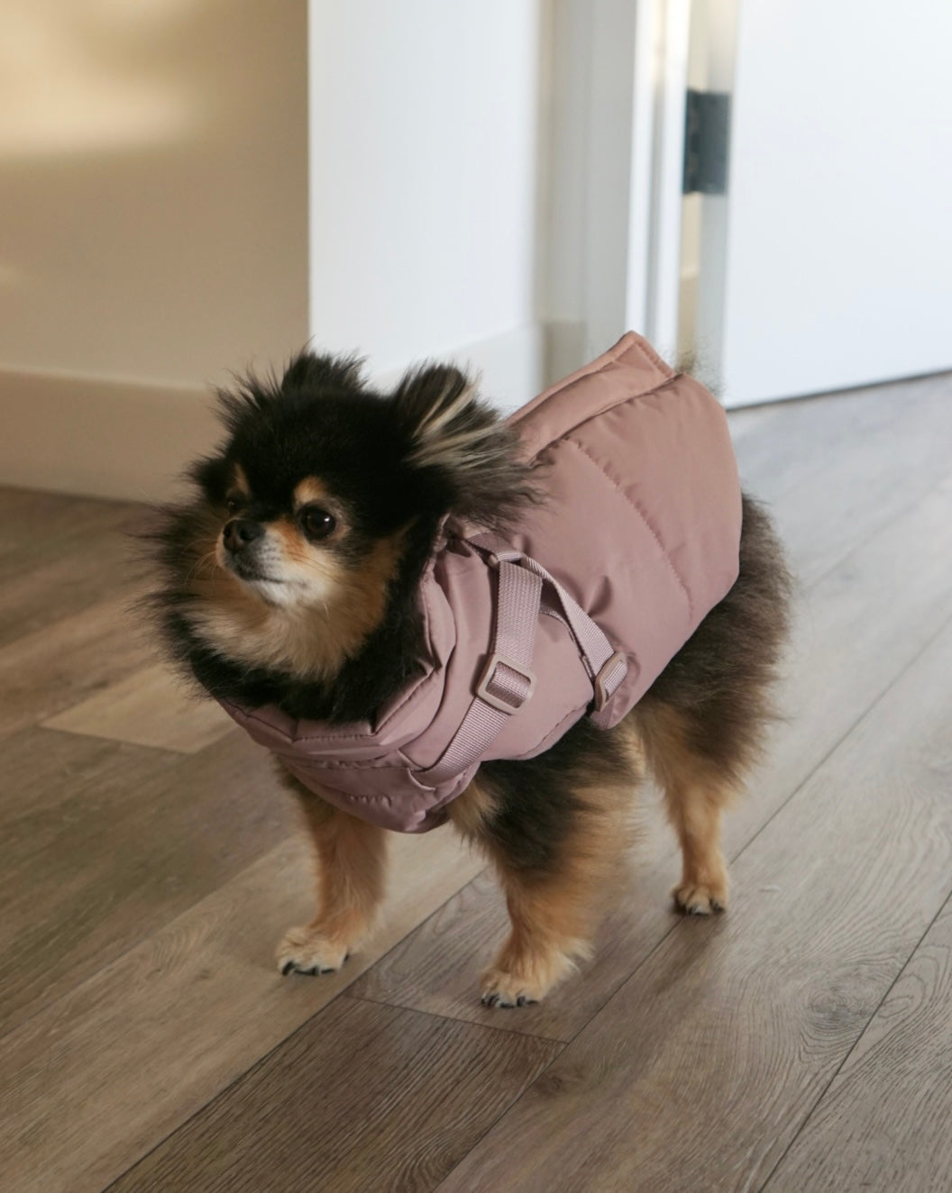 Waterproof Puff Dog Jacket with Built-in Harness – Winter Warm Padded Pet Coat, Windproof Adjustable Puppy Outerwear (Pink)
