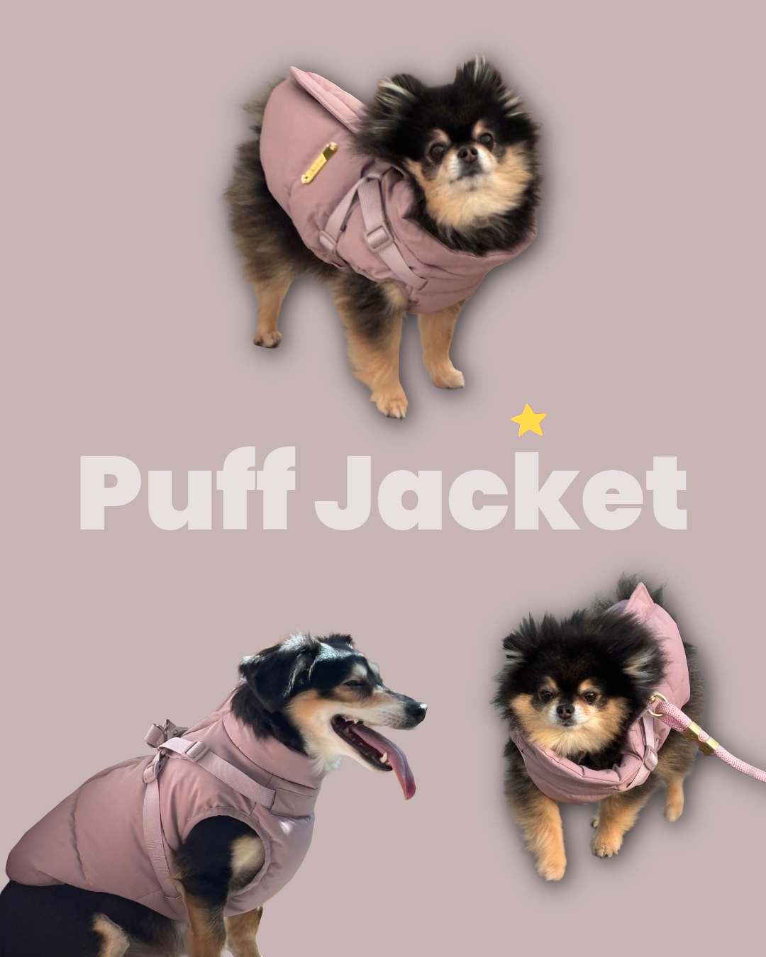 Waterproof Puff Dog Jacket with Built-in Harness – Winter Warm Padded Pet Coat, Windproof Adjustable Puppy Outerwear (Pink)