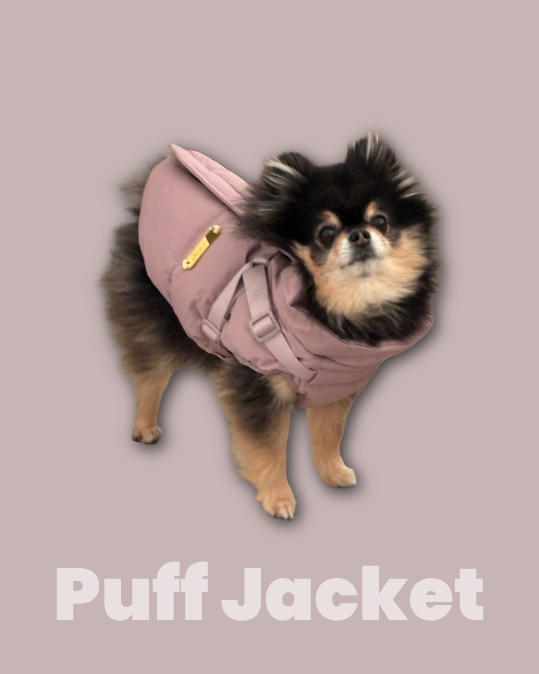 Waterproof Puff Dog Jacket with Built-in Harness – Winter Warm Padded Pet Coat, Windproof Adjustable Puppy Outerwear (Pink)
