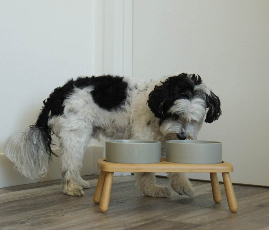 Elevated Double Dog Bowl for Medium & Large Dogs – Raised Bamboo Stand Feeder with Non-Slip Ceramic Bowls for Food and Water