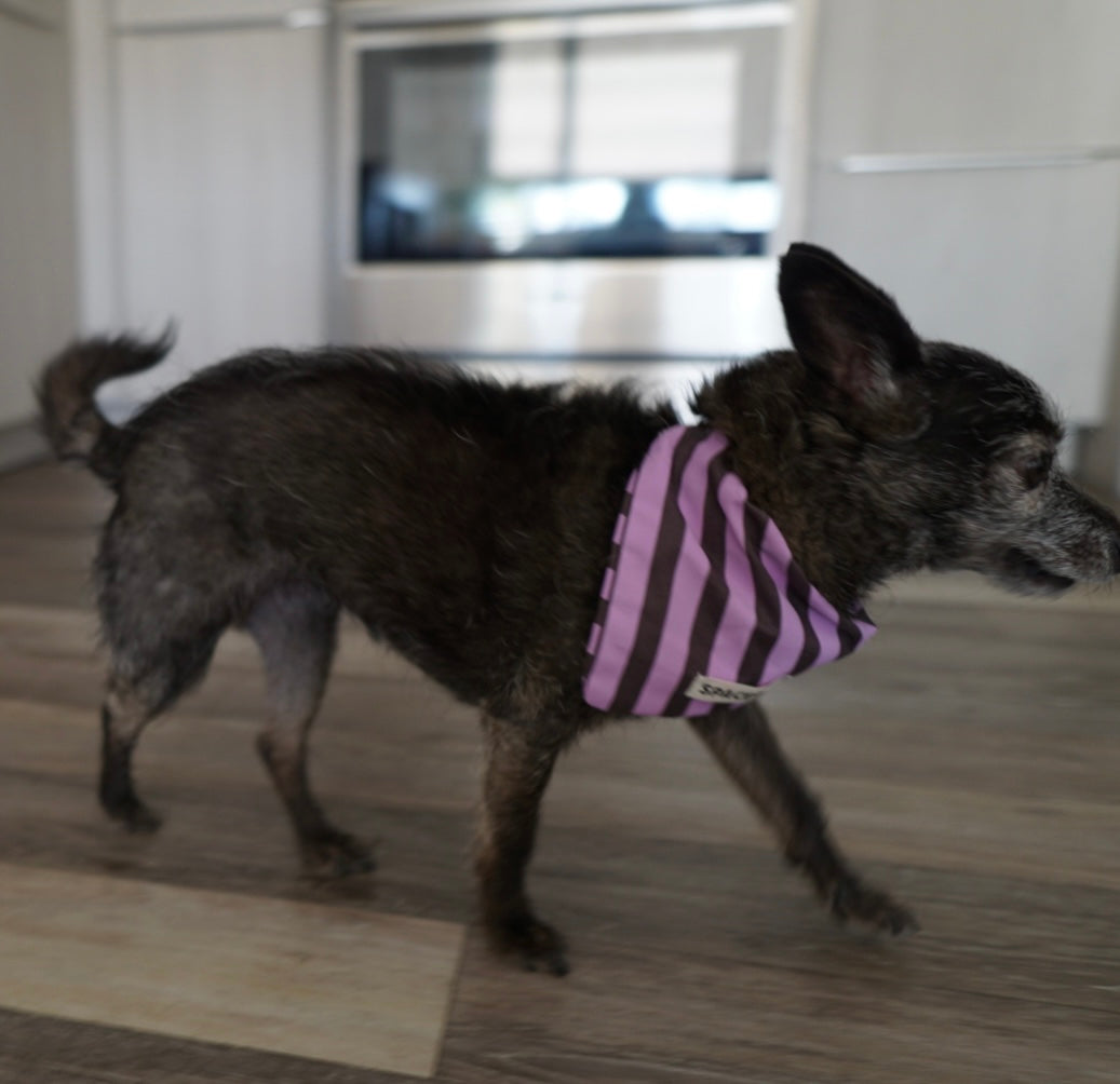 Handmade Cotton Dog Bandana – Purple Striped Pet Neckwear