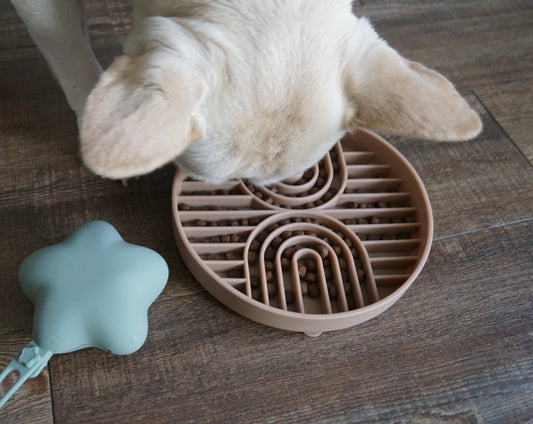Silicone Slow Feeder Bowl (Rainbow) – Non-Slip  | Dishwasher Safe