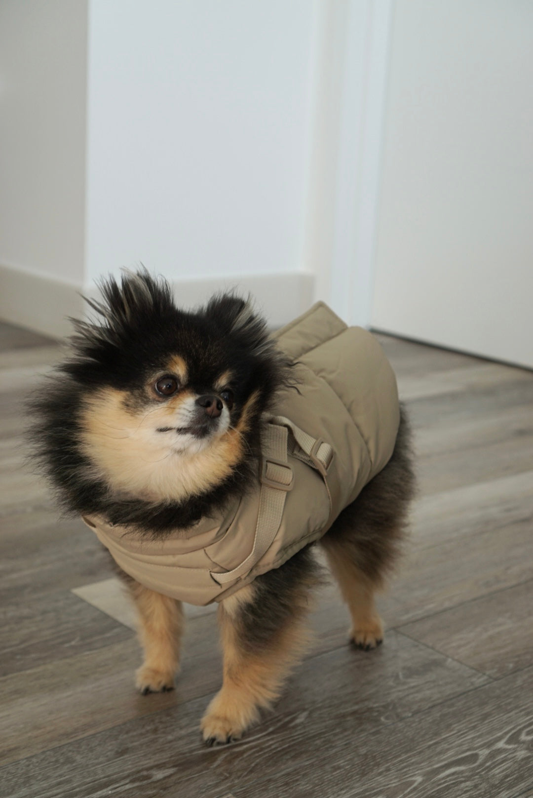 Waterproof Puff Dog Jacket with Built-in Harness – Winter Warm Padded Pet Coat, Windproof Adjustable Puppy Outerwear (Khaki)