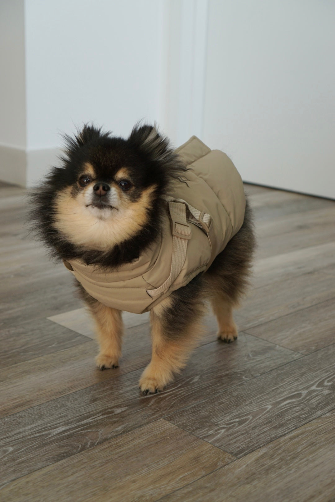 Waterproof Puff Dog Jacket with Built-in Harness – Winter Warm Padded Pet Coat, Windproof Adjustable Puppy Outerwear (Khaki)