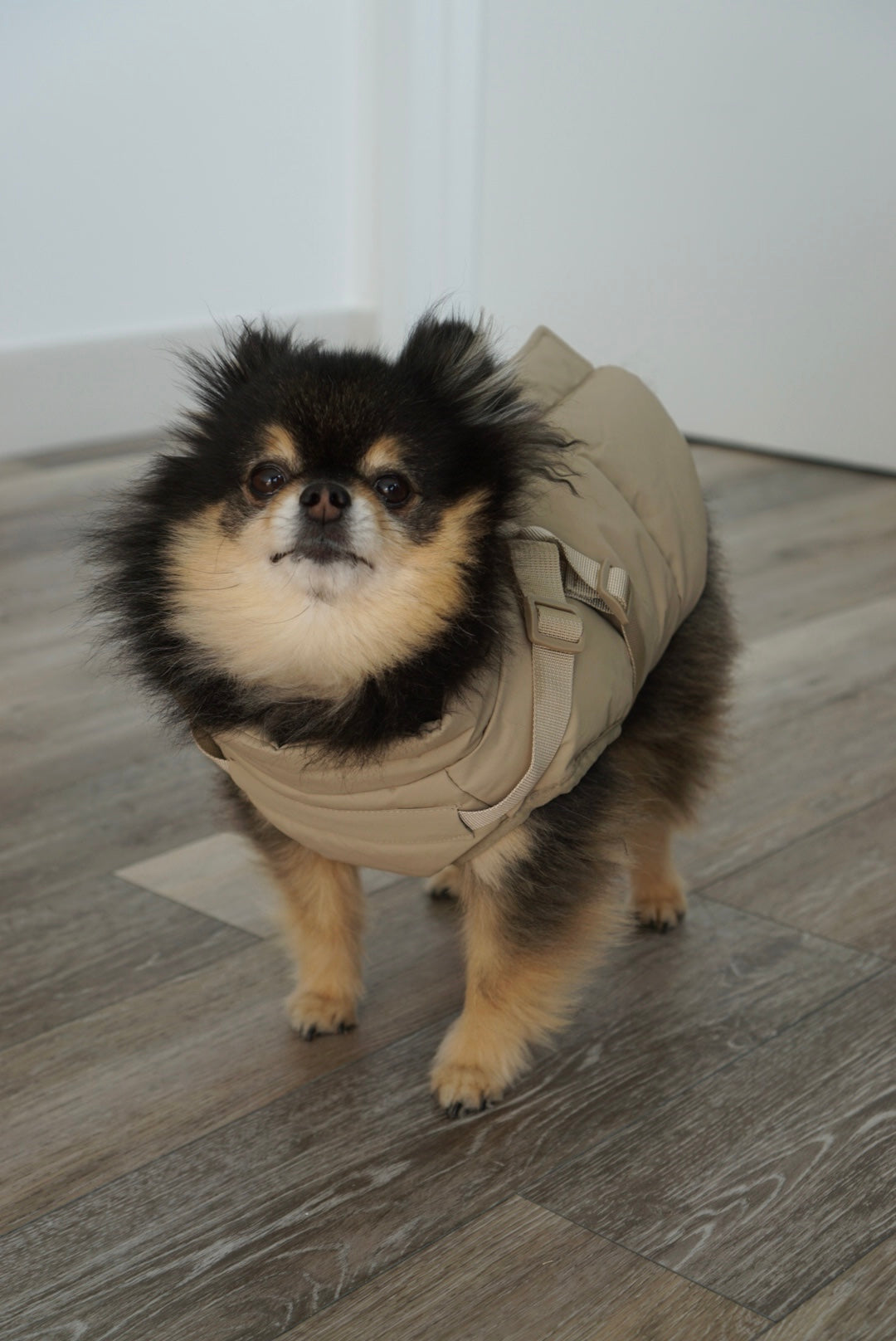 Waterproof Puff Dog Jacket with Built-in Harness – Winter Warm Padded Pet Coat, Windproof Adjustable Puppy Outerwear (Khaki)
