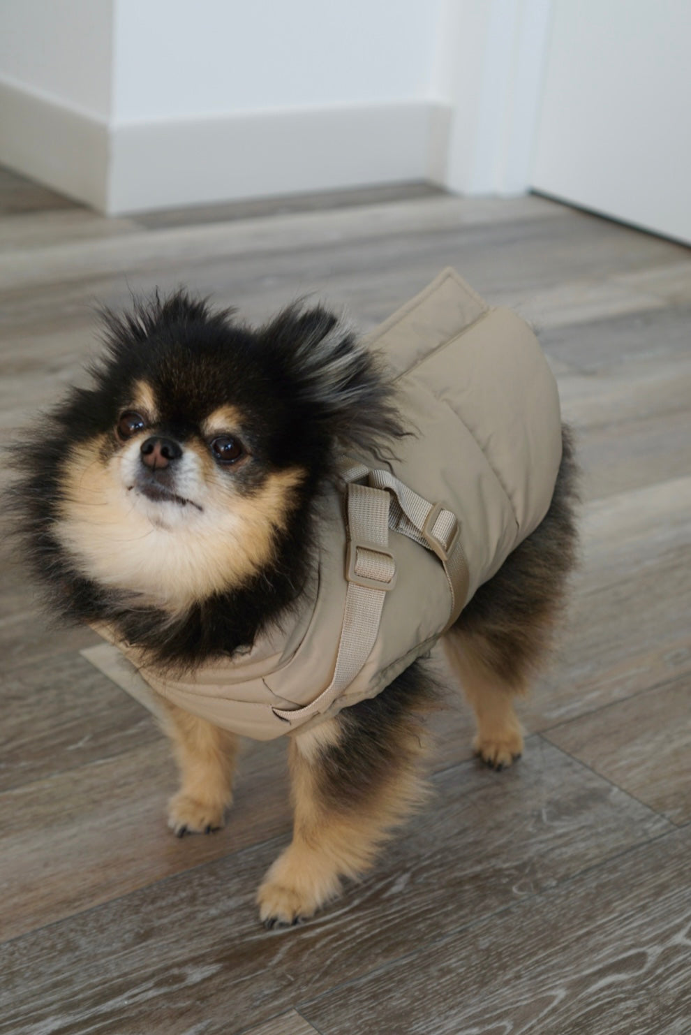 Waterproof Puff Dog Jacket with Built-in Harness – Winter Warm Padded Pet Coat, Windproof Adjustable Puppy Outerwear (Khaki)