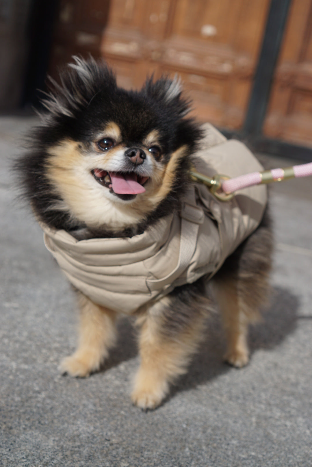 Waterproof Puff Dog Jacket with Built-in Harness – Winter Warm Padded Pet Coat, Windproof Adjustable Puppy Outerwear (Khaki)