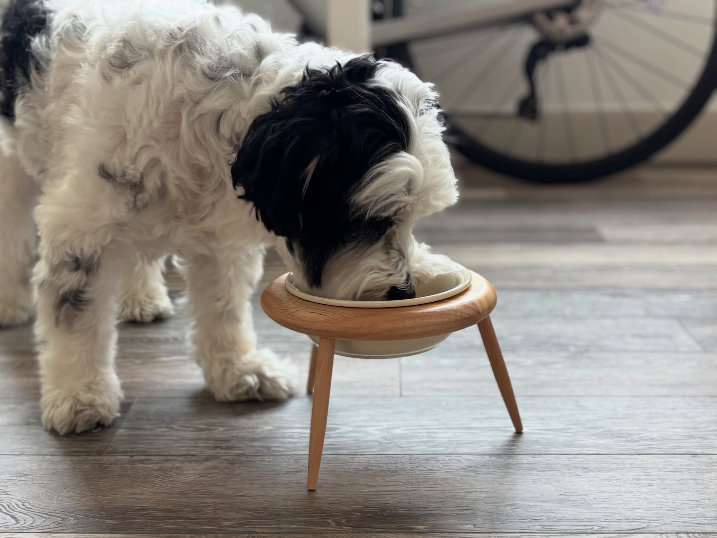 Elevated Ceramic Pet Bowl Wooden Stand – Beige Bowl + Stand with Two-Way Tilt Function/ Water Bowl/ Raised Bowl