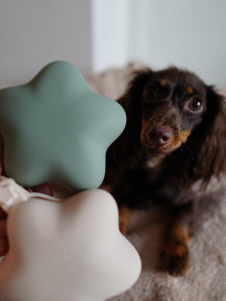 Comet Star Loop-Attach Treat Bag | Treat Holder & Snack Pouch – Stylish Pet Accessory for On-the-Go/ Training Portable Bag