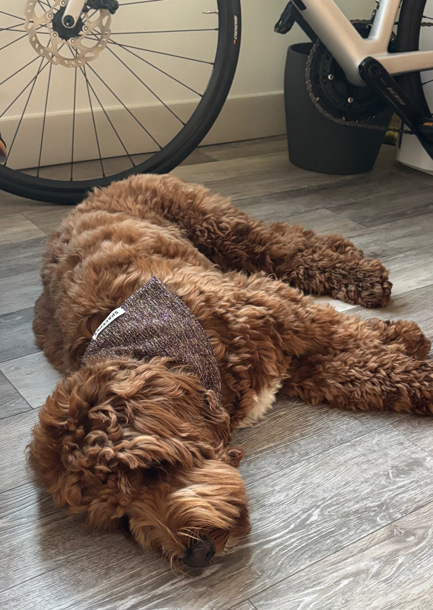 Handmade Cotton Dog Bandana – Jingle Bell Pet Neckwear