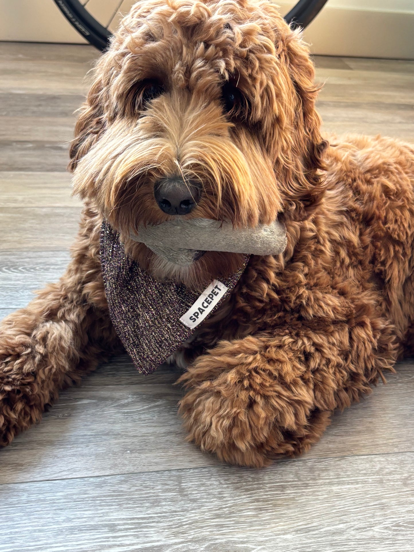 Handmade Cotton Dog Bandana – Jingle Bell Pet Neckwear