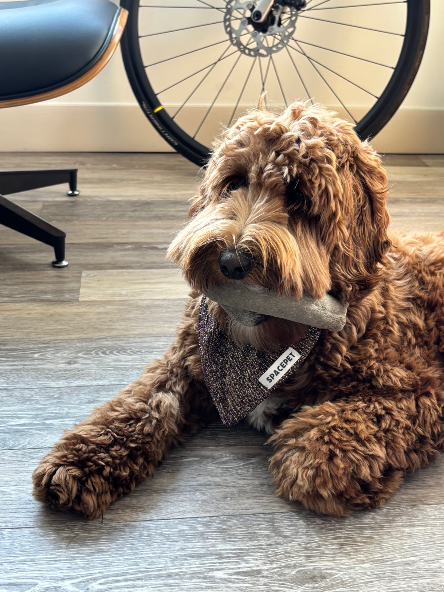 Handmade Cotton Dog Bandana – Jingle Bell Pet Neckwear