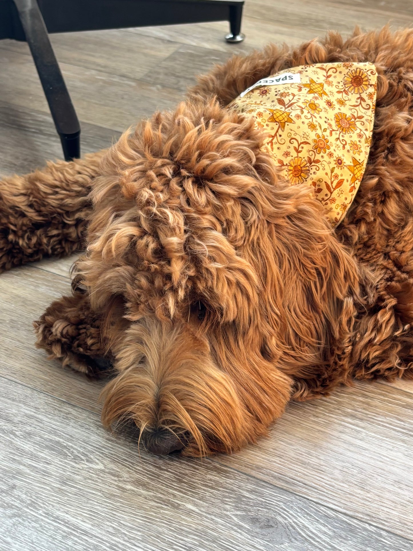 Handmade Cotton Dog Bandana – Yellow Sunflower Pet Neckwear