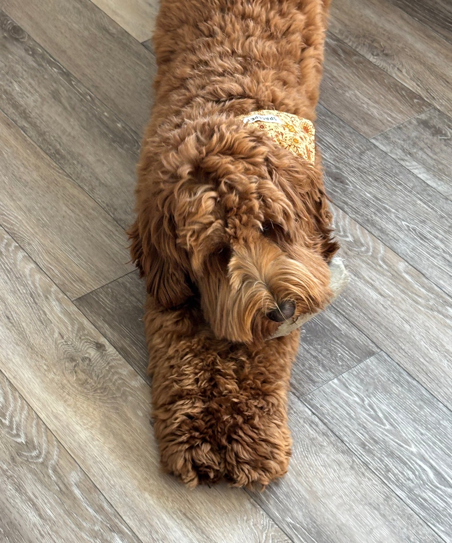 Handmade Cotton Dog Bandana – Yellow Sunflower Pet Neckwear