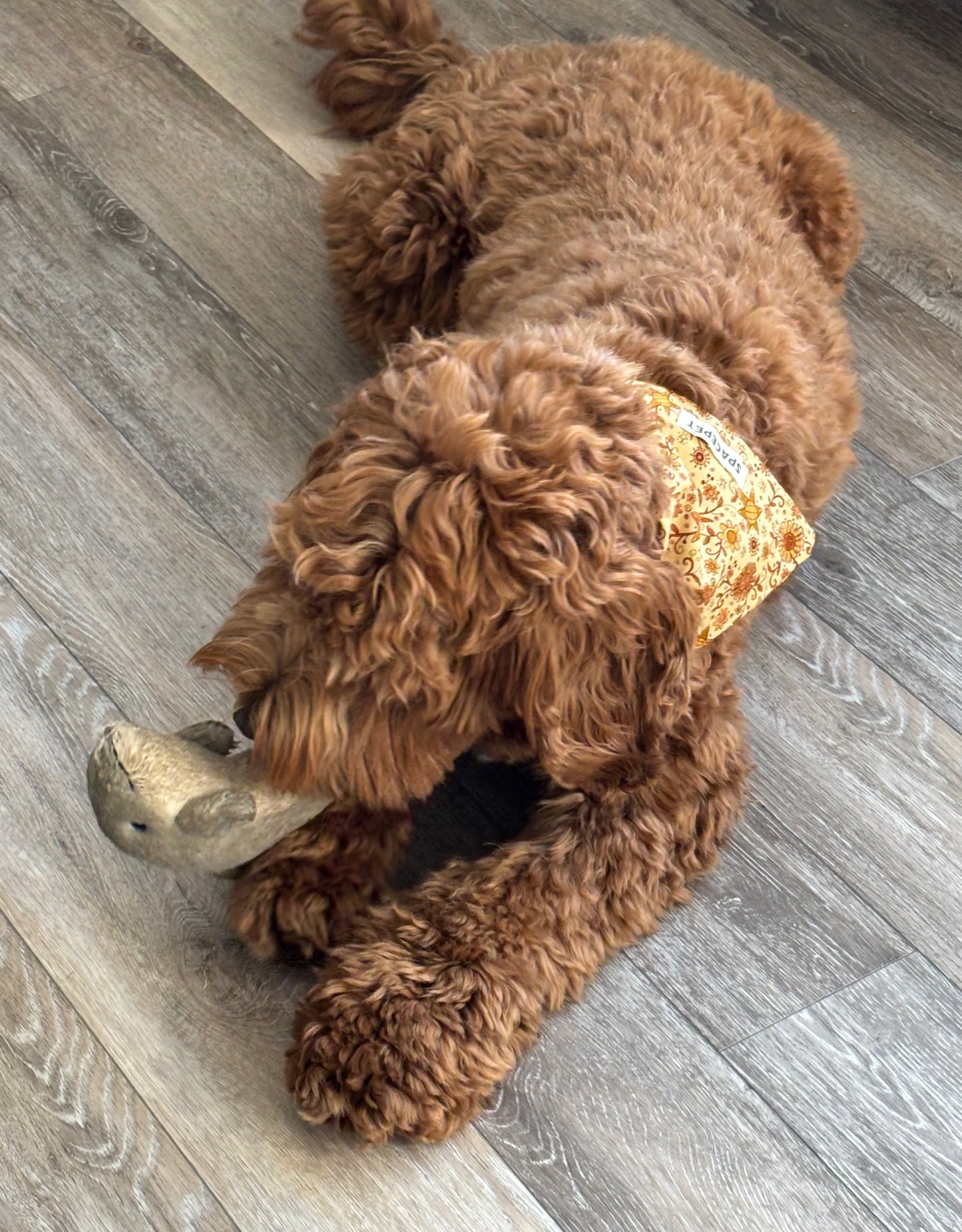 Handmade Cotton Dog Bandana – Yellow Sunflower Pet Neckwear