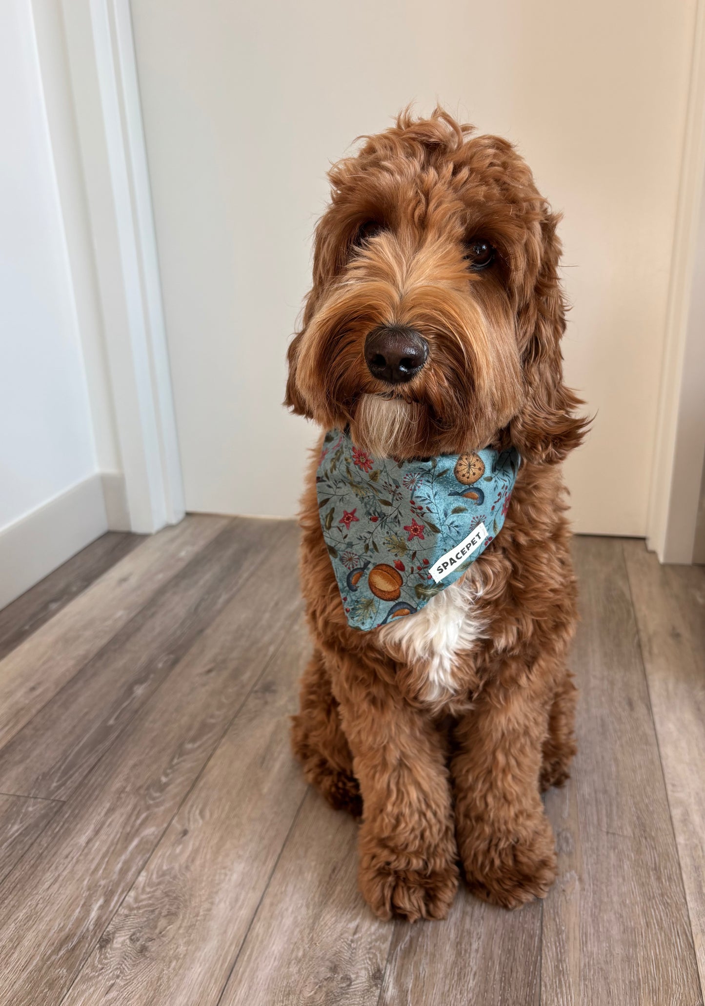 Handmade Cotton Dog Bandana – Blue Bird Pet Neckwear