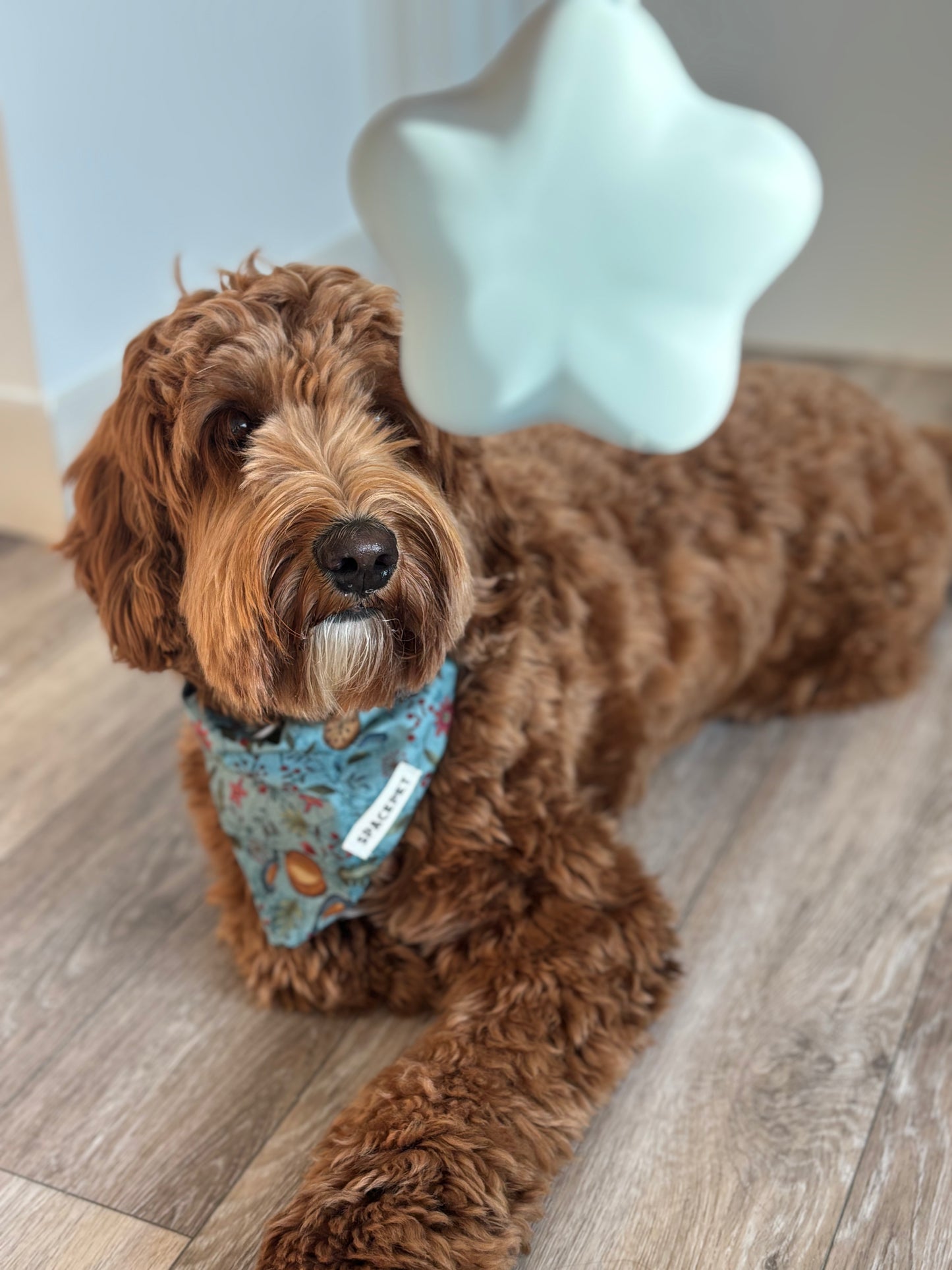 Handmade Cotton Dog Bandana – Blue Bird Pet Neckwear