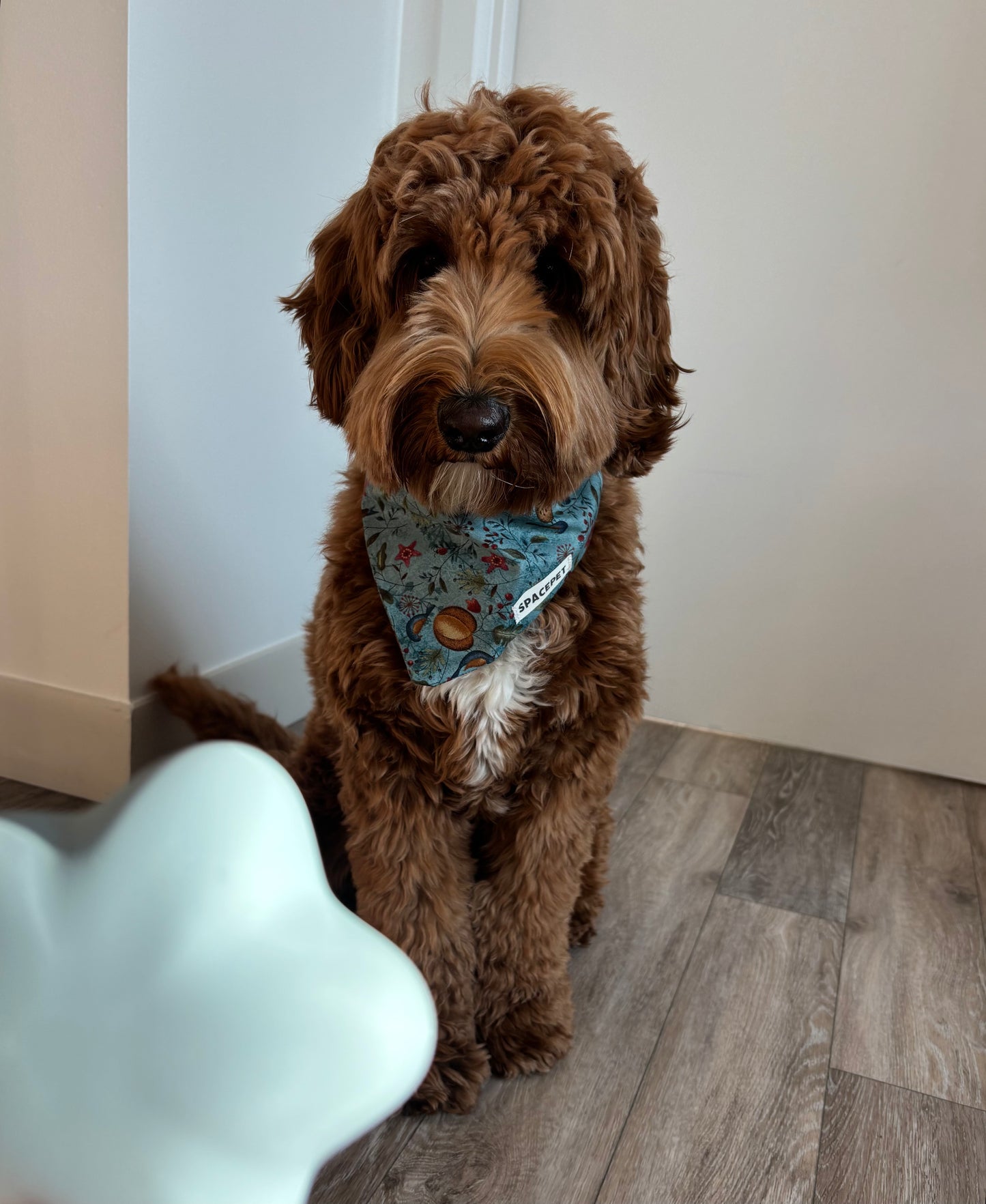 Handmade Cotton Dog Bandana – Blue Bird Pet Neckwear