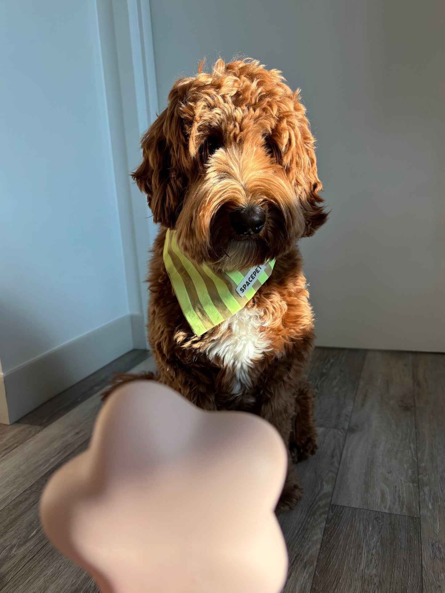 Handmade Cotton Dog Bandana – Yellow Striped Pet Neckwear