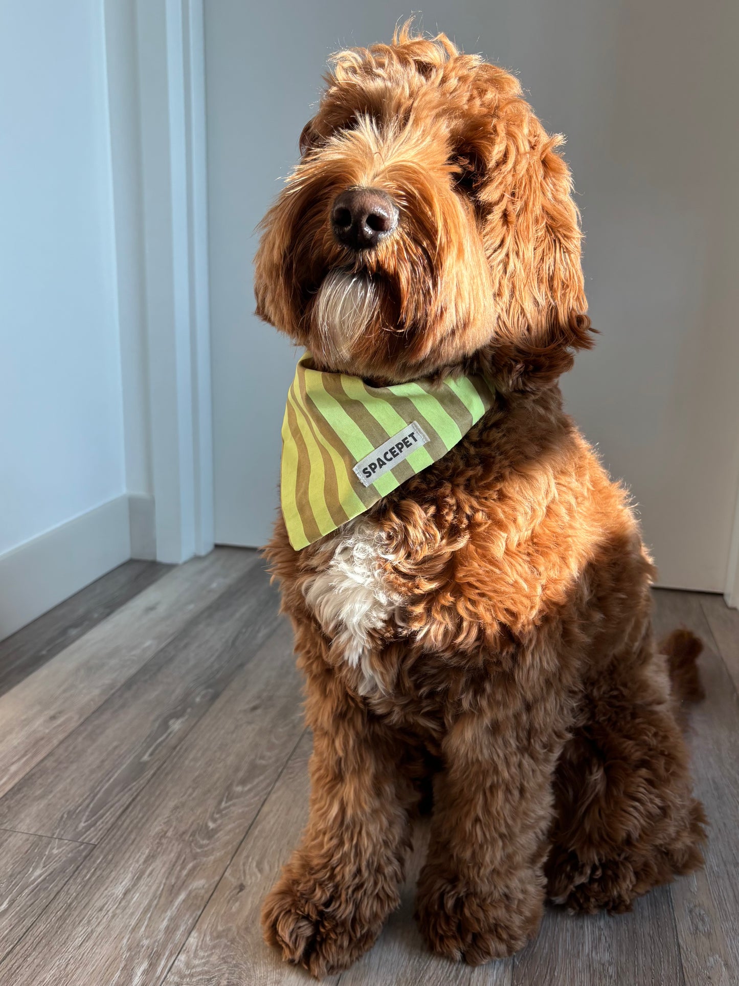 Handmade Cotton Dog Bandana – Yellow Striped Pet Neckwear