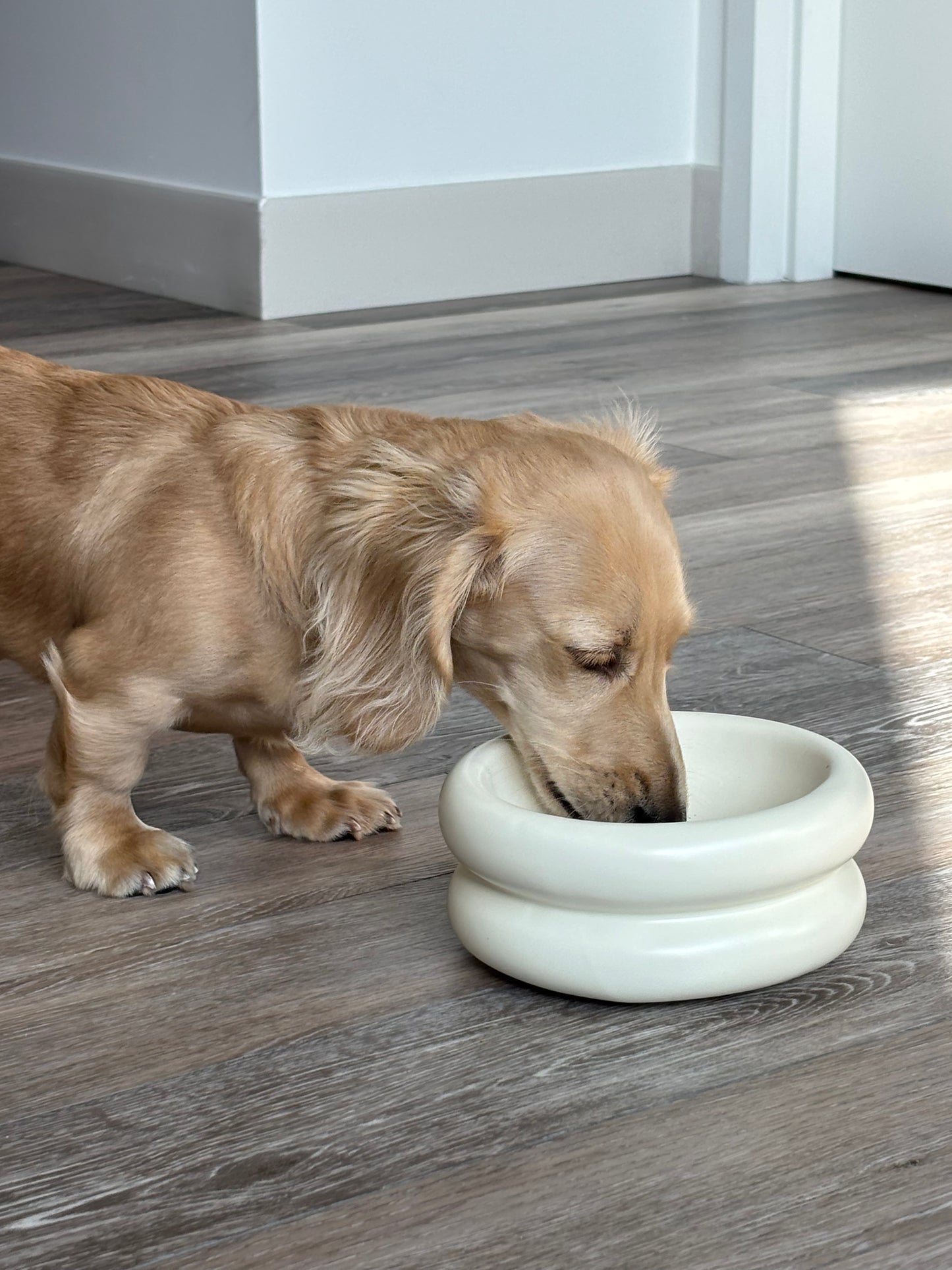 Modern Macaron-Shaped Elevated Ceramic Dog & Cat Bowl – 350ml | Minimalist Pet Food Dish for Small or Medium Pets
