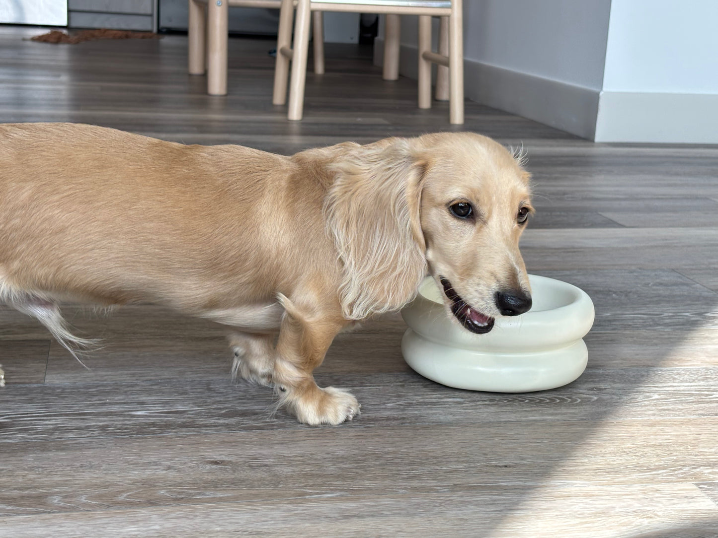 Modern Macaron-Shaped Elevated Ceramic Dog & Cat Bowl – 350ml | Minimalist Pet Food Dish for Small or Medium Pets
