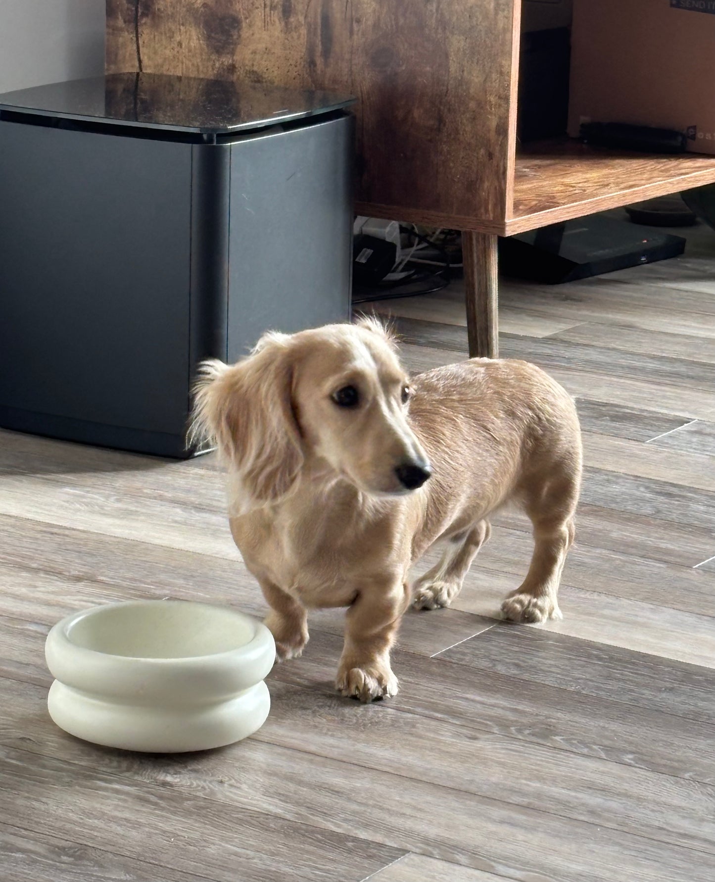 Modern Macaron-Shaped Elevated Ceramic Dog & Cat Bowl – 350ml | Minimalist Pet Food Dish for Small or Medium Pets