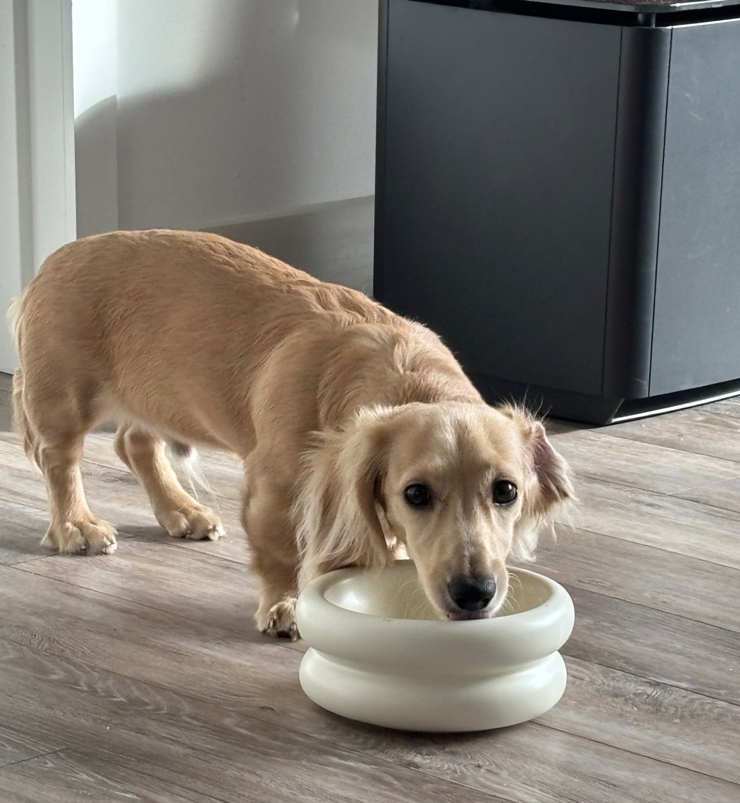 Modern Macaron-Shaped Elevated Ceramic Dog & Cat Bowl – 350ml | Minimalist Pet Food Dish for Small or Medium Pets