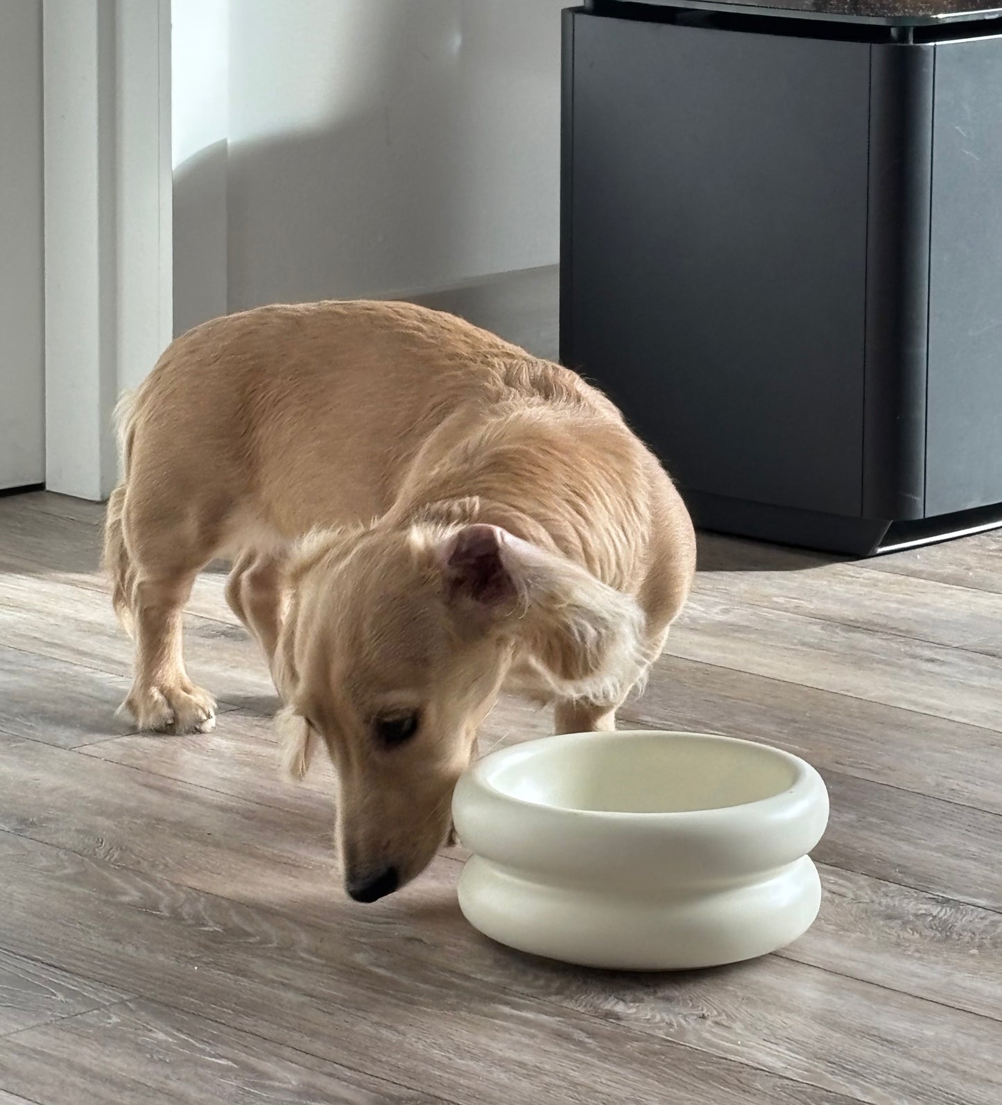 Modern Macaron-Shaped Elevated Ceramic Dog & Cat Bowl – 350ml | Minimalist Pet Food Dish for Small or Medium Pets